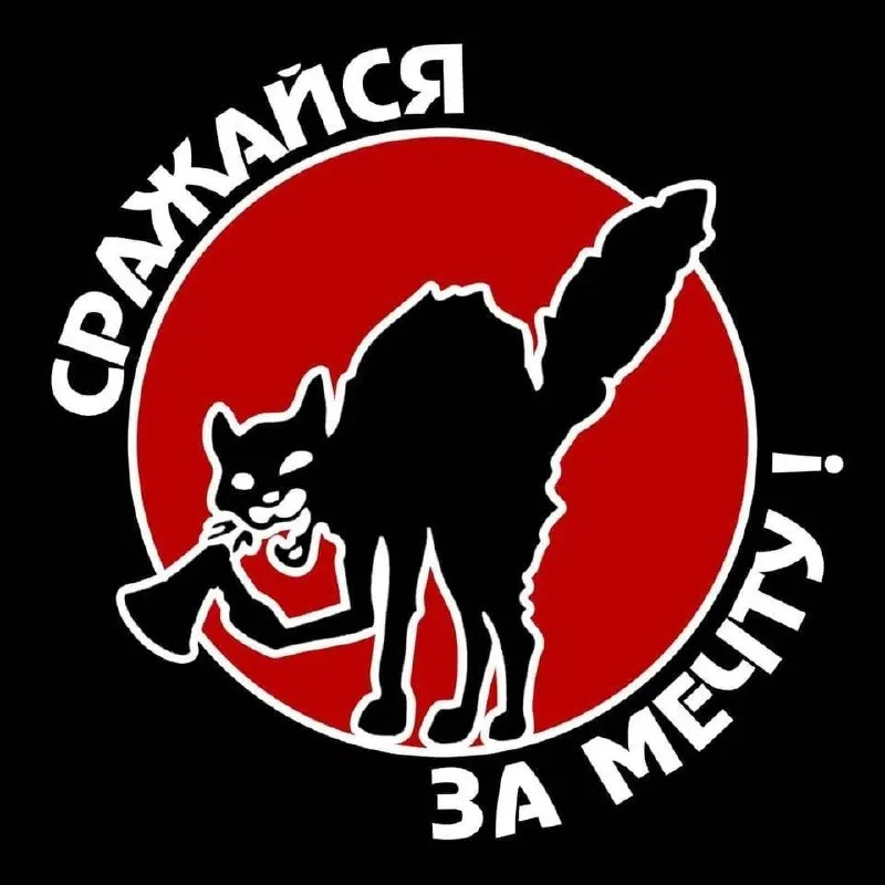 В обновлённый список попали социолог Елена Конева, проекты по мониторингу нарушений в Крыму и анархистское объединение, часть из которых оказывает поддержку политзаключённым.