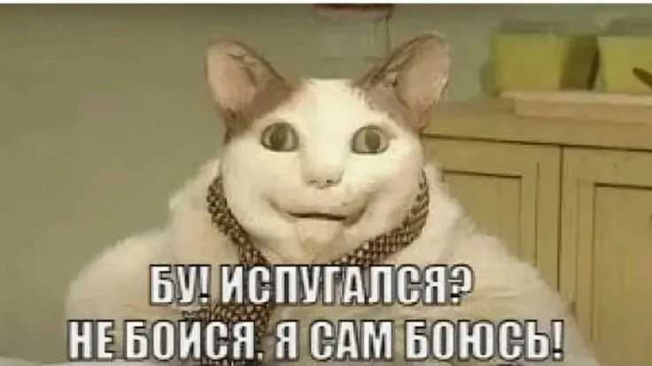 Ярославская область: школам даны рекомендации по&nbsp;празднованию Хэллоуина