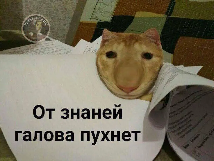 Минспорт планирует ввести норму по управлению небольшим дроном в ГТО: в этом году — в тестовом режиме, с следующего года — по всей стране. Значок может дать до 10 баллов к результатам экзамена.