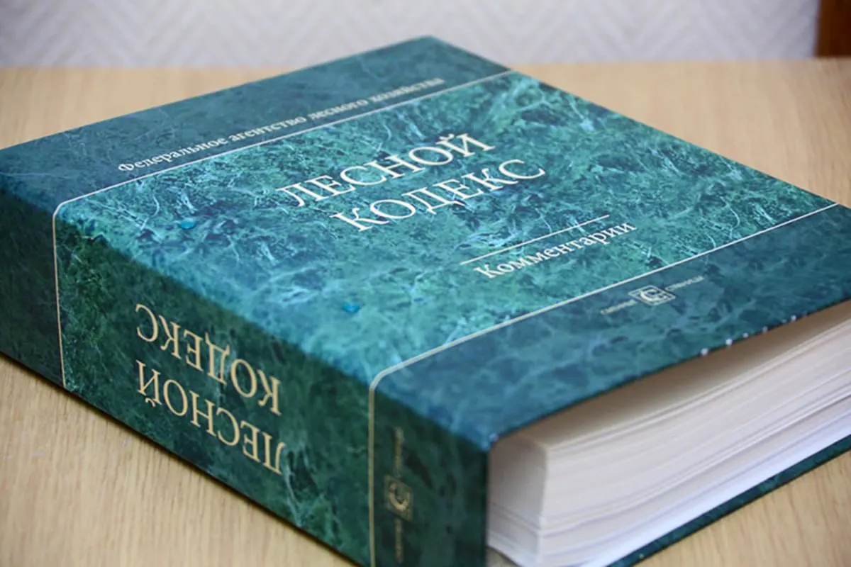 С 2006 года в Лесной кодекс внесли 79 пакетов поправок; эксперт по лесному хозяйству считает, что кодекс устарел и требует замены с целью существенного упрощения и сокращения регулирования.
