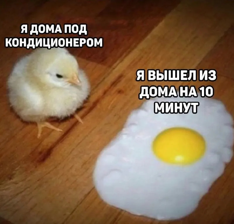 По прогнозам, экстремальная жара сохранится до конца рабочей недели: в Центральном федеральном округе ожидаются июньские температуры, а в Ярославле к выходным станет прохладнее.
