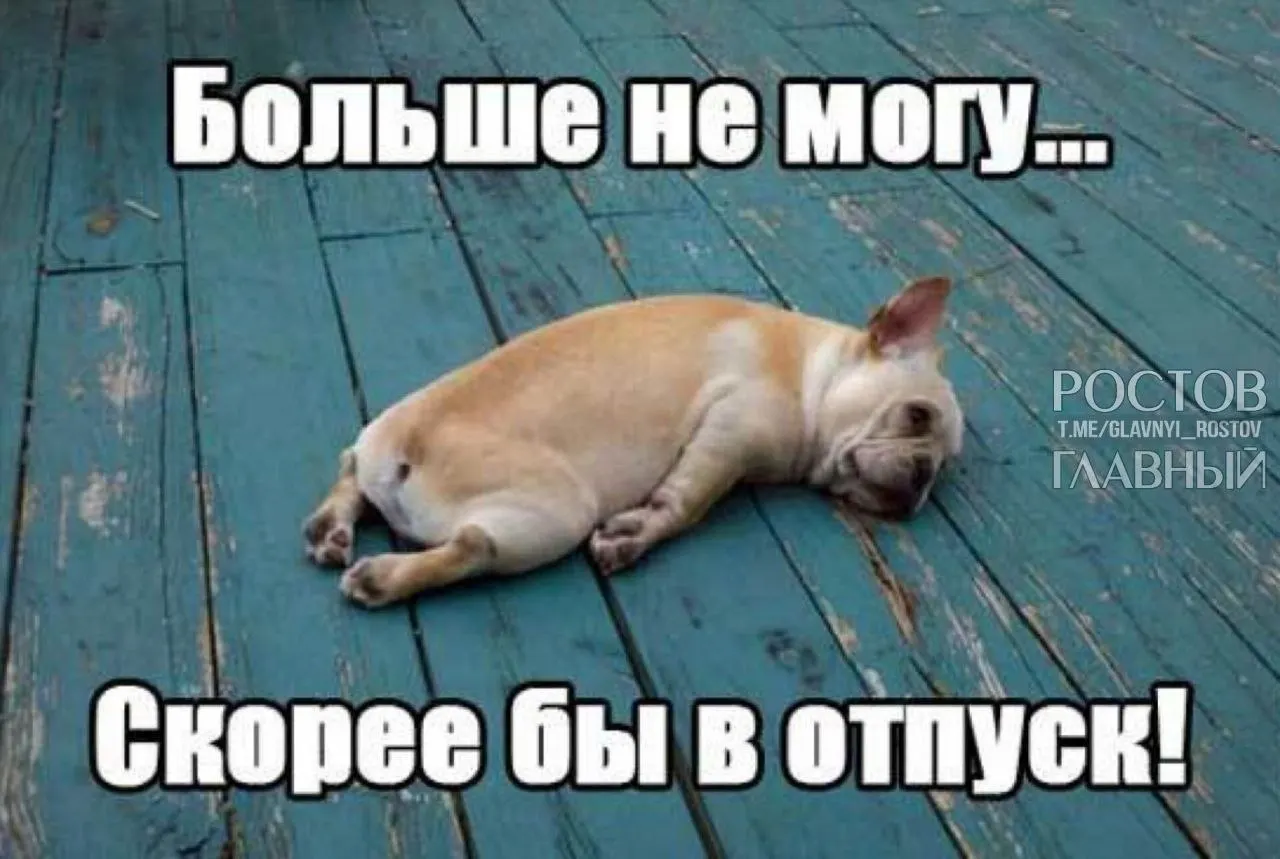 Депутаты предлагают поднять минимальную продолжительность ежегодного отпуска, чтобы компенсировать выходные, которые сейчас включают в отпуск, и снизить риск профессионального выгорания.