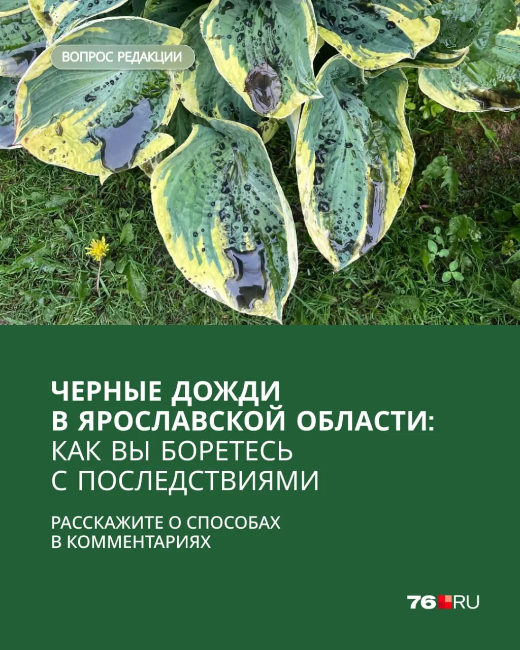 После попадания беспилотников в резервуар с топливом 14 июня в регионе зафиксировали осадки с чёрными пятнами: загрязнились дома, машины, теплицы и вода в бочках. Проливные дожди начала недели пытаются смыть последствия.