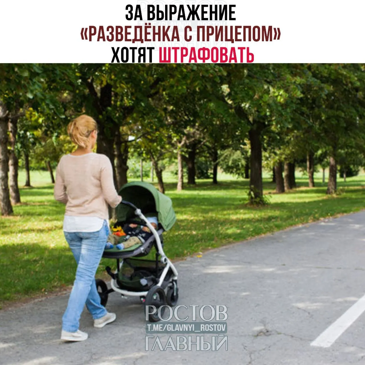 Депутаты считают выражение «разведёнка с прицепом» женоненавистническим и уничижительным; инициативу изучают юристы, при одобрении предлагают ввести ответственность за публичное употребление фразы.