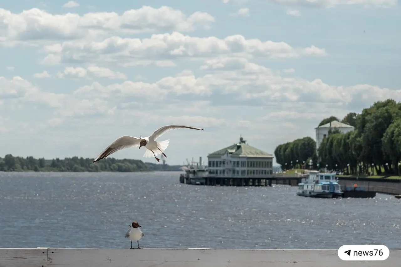 Днём около +25°, облачно с прояснениями.