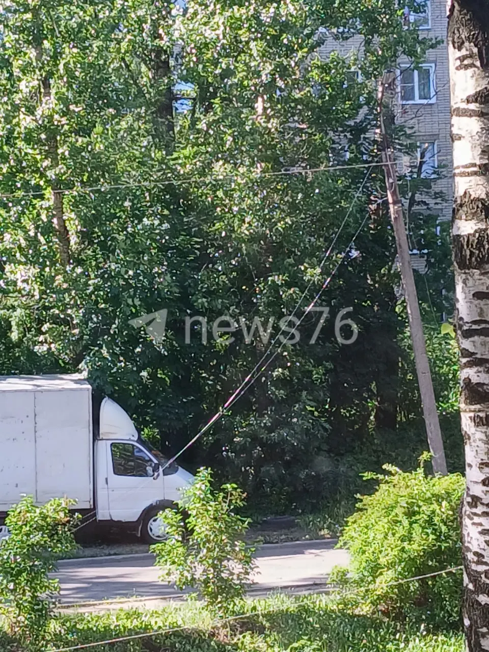 Перед домом на проезде Ушакова, 7 упало дерево — жильцы своими силами убрали ствол, повреждены провода, часть домов временно осталась без электричества.