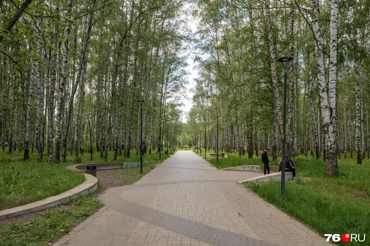 Работы в Парке Судостроителей у пруда во Фрунзенском районе начались в 2024 году: первый контракт на 92,545 млн руб. расторгли, сейчас на завершение проекта направили 29,3 млн руб.