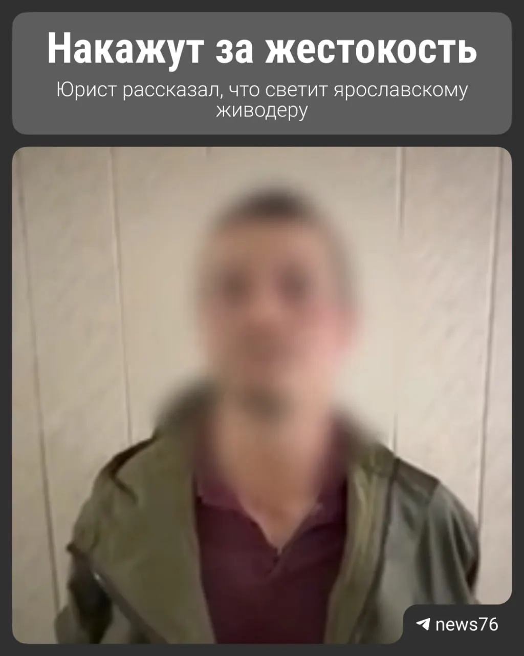 Житель Ярославля признался в убийстве домашней кошки, попавшей на видеозапись. По факту возбуждено уголовное дело, подозреваемый отпущен под подписку о невыезде; юрист прокомментировал возможные меры ответственности.