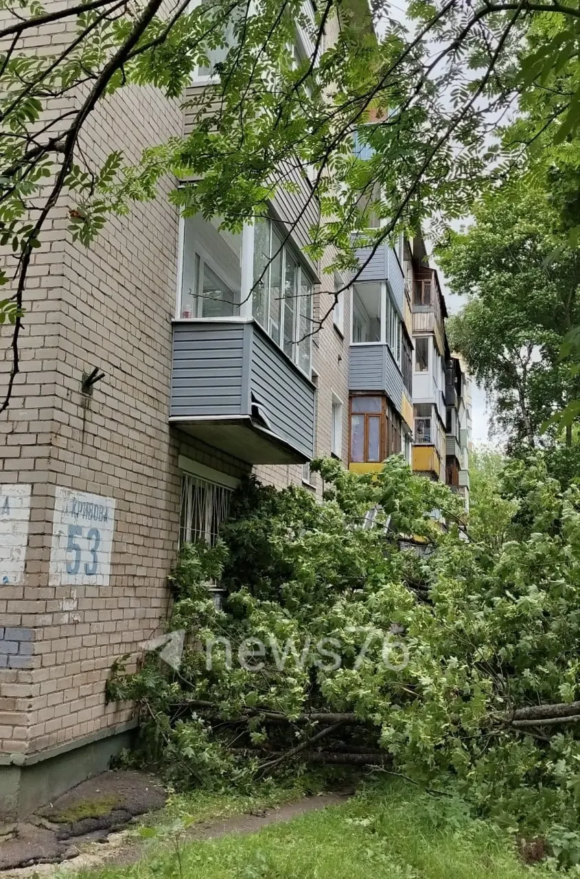 Крупное дерево упало во дворе дома на улице Кривова, 53 — по предварительным данным, ствол не выдержал порывов сильного ветра. Фото можно присылать в редакцию. Будьте осторожны на улице.