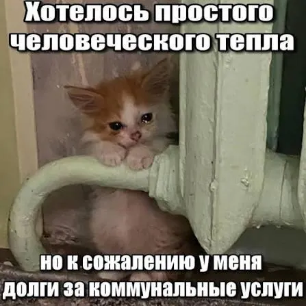 Суд подтвердил, что пропуск трёхлетнего срока исковой давности лишает право на принудительное взыскание долгов за капремонт; это решение может защитить покупателей вторичного жилья и наследников.