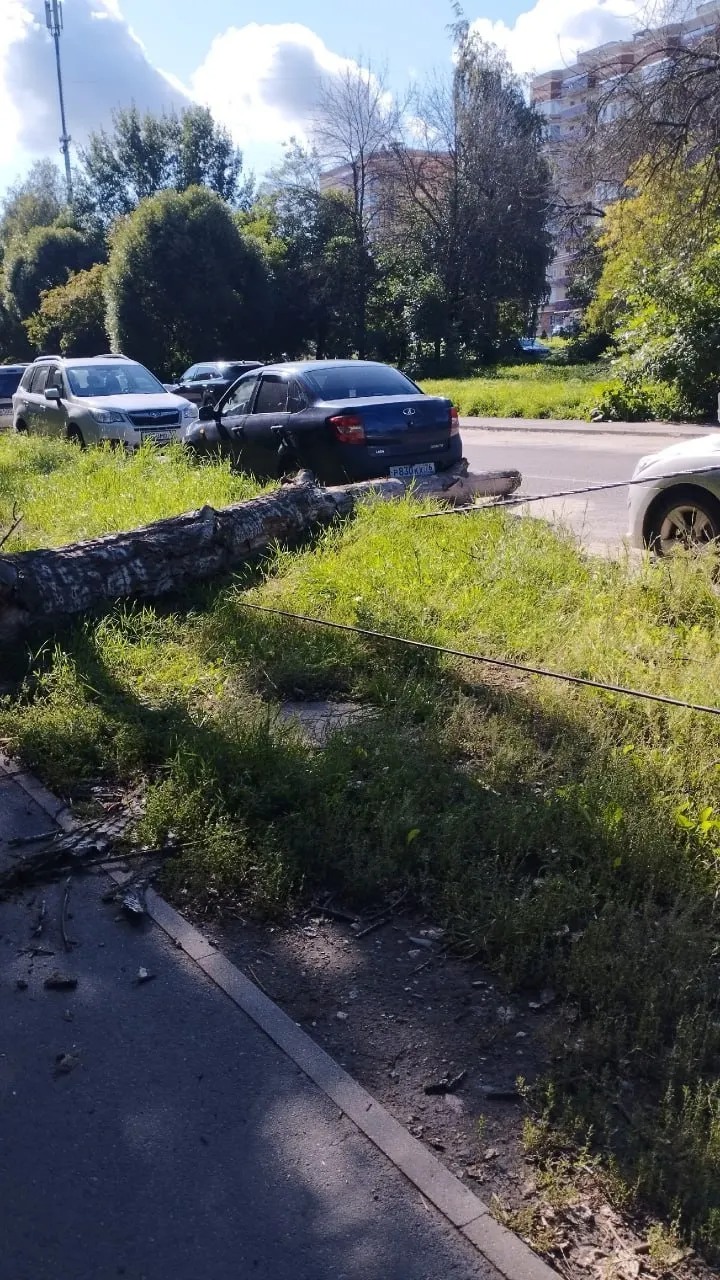 Сухостой рухнул на тротуар и оборвал провода на улице Слепнёва, д. 30. Жители требуют срочной опиловки аварийных деревьев рядом.