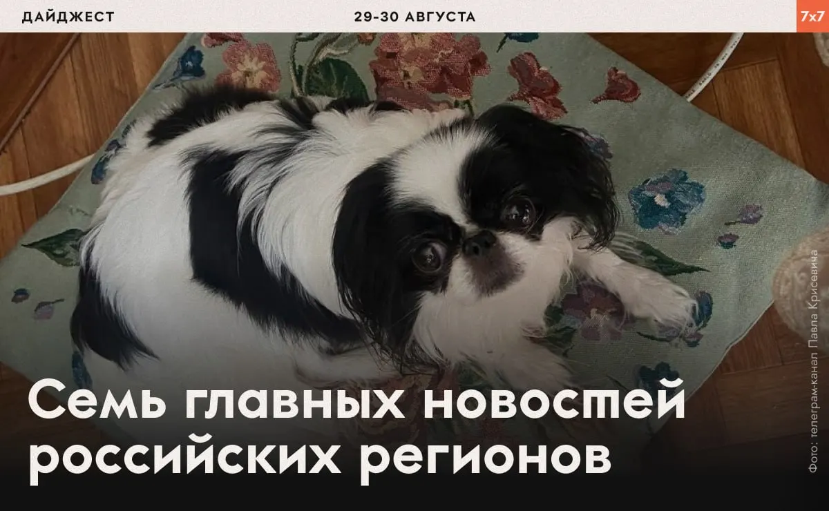 Дайджест региональных событий: принудительная физическая нагрузка, давление на активистов, запреты на агитацию и региональные ограничения по всей России. Подробности — ниже.