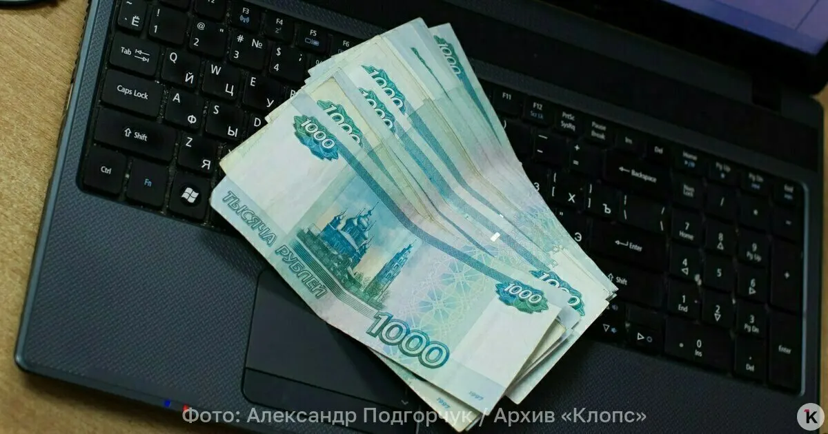 Рассматривается возможность внедрения пластиковой денежной основы после анализа мирового опыта и экономических выгод.