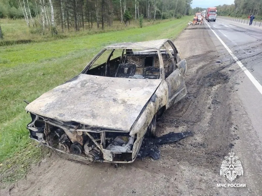 За месяц в регионе зафиксировано 15 возгораний транспорта; причины варьировались от преднамеренного уничтожения до технических неисправностей; итог — повреждённое или утраченное имущество.