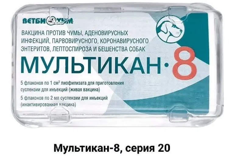 Пострадавшие призывают к независимому анализу вакцин после смертей собак в нескольких регионах, включая Ярославскую область.