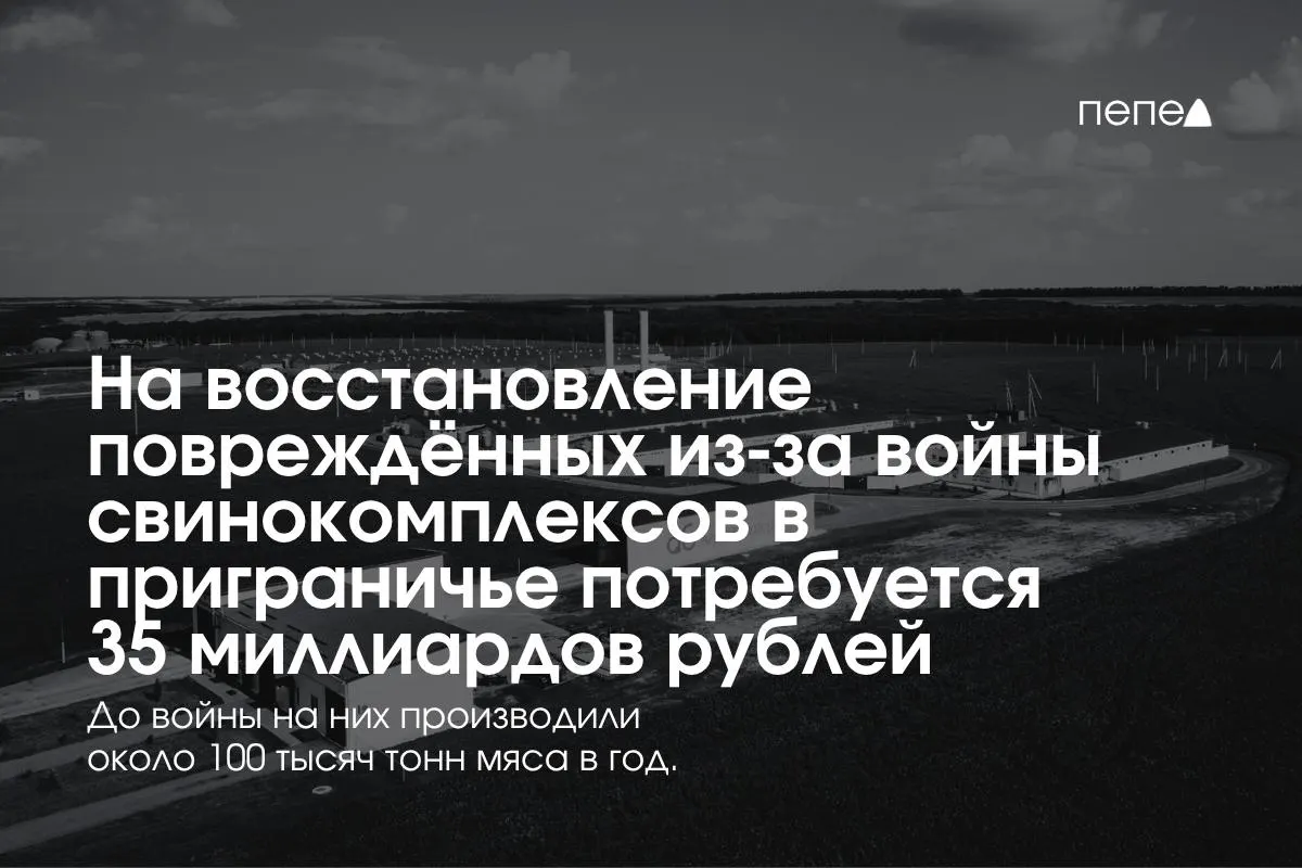 Расходы на восстановление после боевых действий включают охрану, строительство защитных сооружений и логистику; закрытие ферм повлияло на выпуск свинины в регионе.
