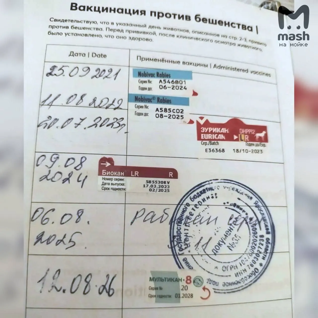 После вакцинации комплексной вакциной Мультикан-8 в Ярославской области зарегистрированы гибели нескольких собак; власти проводят проверки, серия вакцины приостановлена.