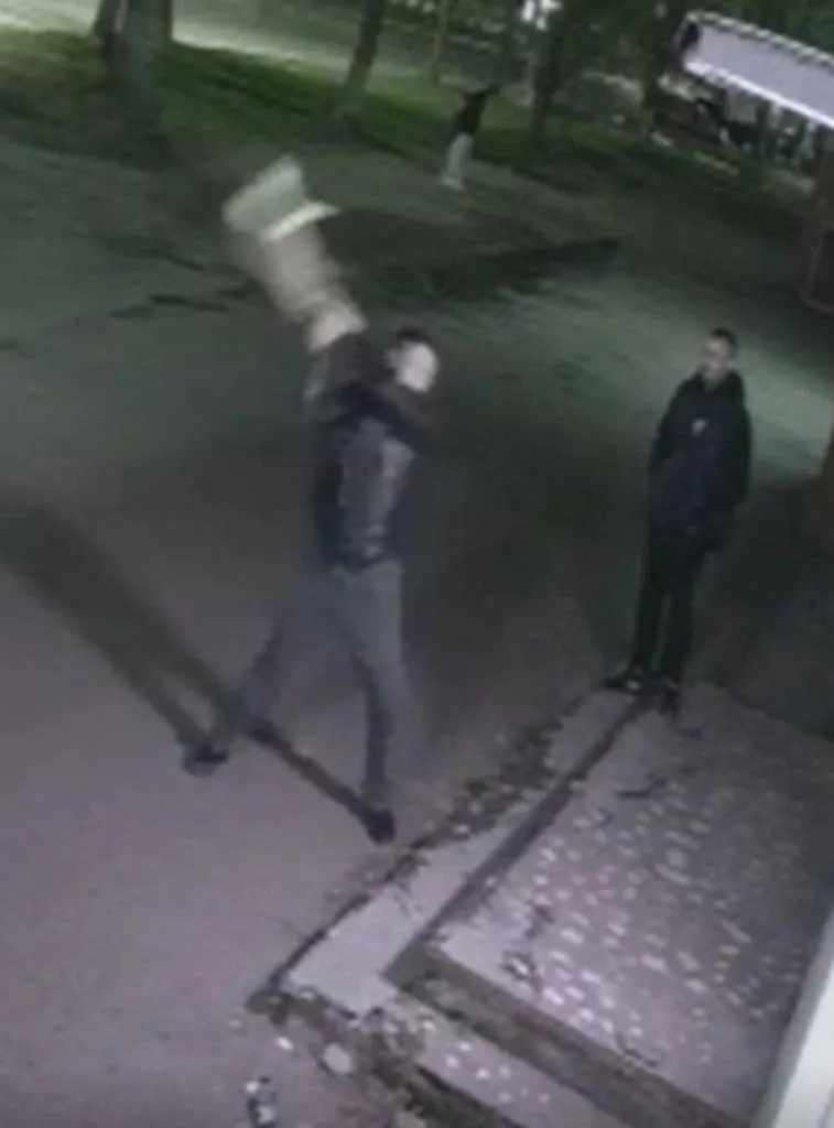 Житель Ярославля подозревается в жестоком обращении с кошкой возле общежития; расследование пока не завершено.